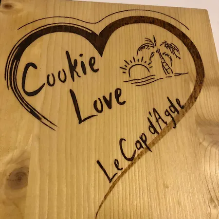 Apartment Cookie - Entierement Neuf - A 100 M De L'entree Du Village Naturiste Agde